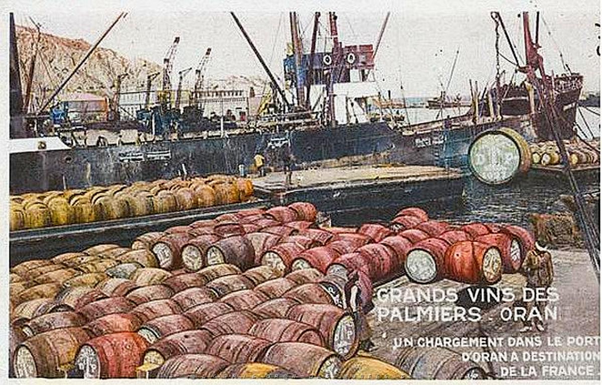 Oran vin des palmiers.jpg